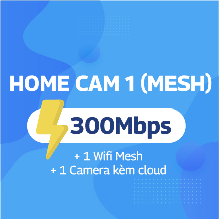 HOME CAM 1 (Mesh)